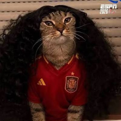 MMorALes1901's profile picture