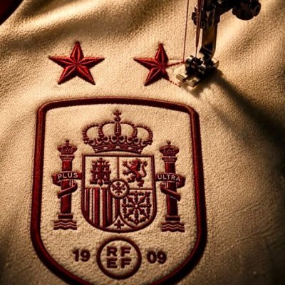 SANTIAGO CAÑIZARES's profile picture