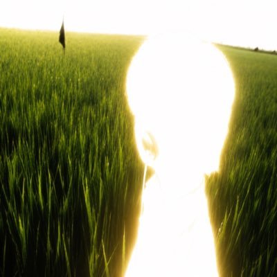 вlαnc's profile picture