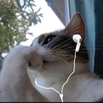 argdipiu's profile picture