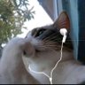 𝛂𝛈𝖈𝛐𝖗𝛂 𝛅𝛊 𝛒𝛊ù 🇦🇷💙's profile picture