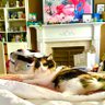 Marybeth K profil fotoğrafı