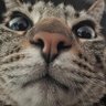 Profilbild von M.R.hiperlink