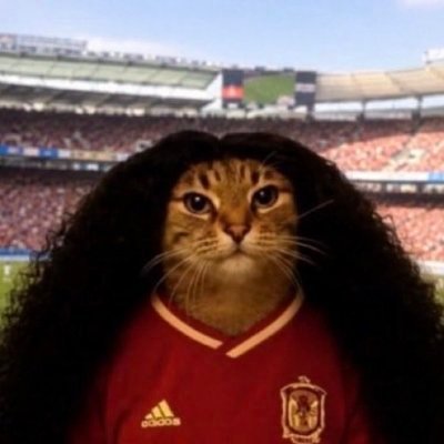 Val // Fina's profile picture
