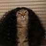 Antonio's profile picture