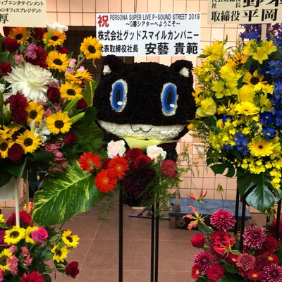 darumasan510's profile picture