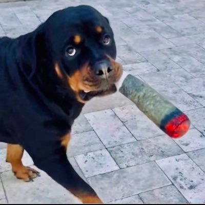 demoestlamour's profile picture
