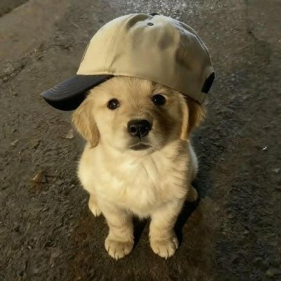 sulyuuoqli's profile picture