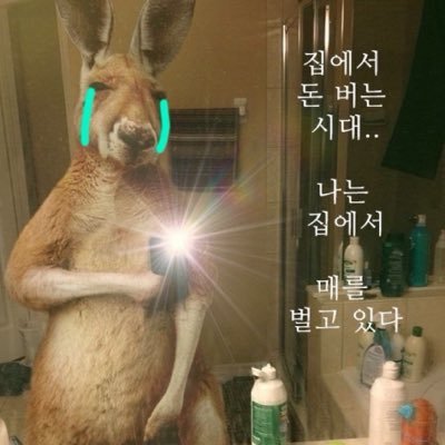 mc bony's profile picture
