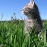 ᴿᵘᵇʸ profil fotoğrafı