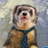 Profilbild von capra