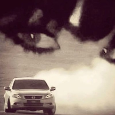 loly's profile picture