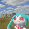 🌱新見いの(にーみいの)🌱ビーチクルーザーライダー's profile picture