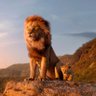 Фото профиля Mufasa