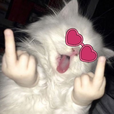 อีหน่อแตดโซเฟีย's profile picture