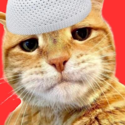 cukingoyenn's profile picture