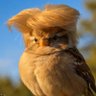 Profilbild von 🇺🇸BobE G • Thank U 4 ur attn 2 this MAGA🇺🇸