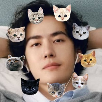 ✧ Intercross spoilers's profile picture