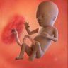 Profilbild von abbyjohnsonsdeadfetus