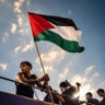 أبوالطيب العباسي 的头像