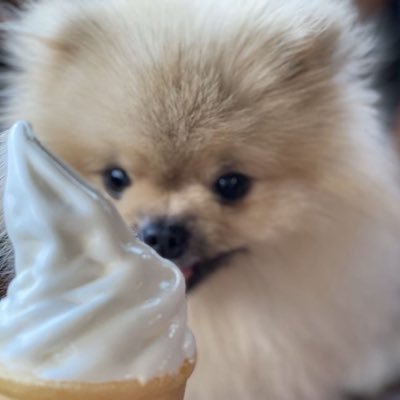 묵's profile picture