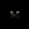 NicoLink's profile picture