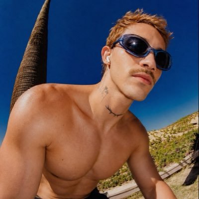 FIIH Spagnolo's profile picture