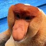 pütze thijs profil fotoğrafı