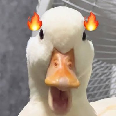 𝗉.ꜱᴏʀʙᴇᴛ ∞ ◡̈'s profile picture