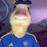 Profilbild von PatoXeneize 𓆰𓆪 🇸🇪