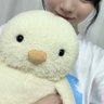 rü 瑠 る profil fotoğrafı