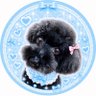 ã¢ãŒå's profile picture