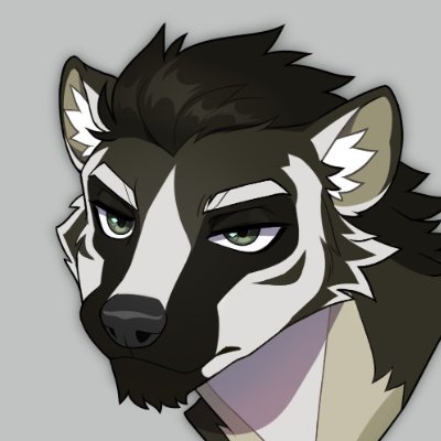 DIVIIDAE's profile picture