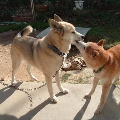potechi123's profile picture