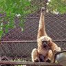 OrangDalam profil fotoğrafı