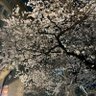 ゆうすけ+ 的头像