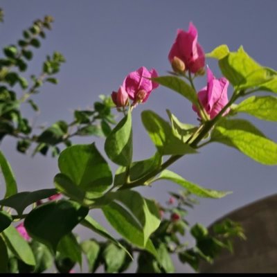 فهد الجنوبي's profile picture