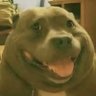 ethan 的头像