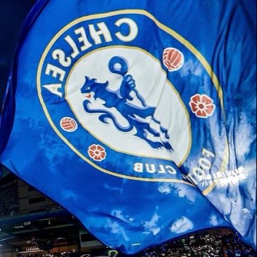 ChelseaJF14's profile picture