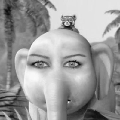 aki's profile picture