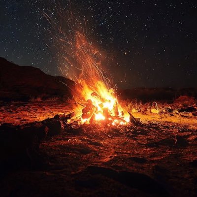 tilldawn1111's profile picture