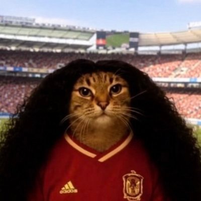 DRACULA199806's profile picture