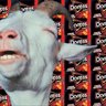 Cheezydoritofingers 的头像