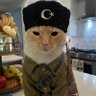 ๐ชธEcm ๐น๐ท's profile picture