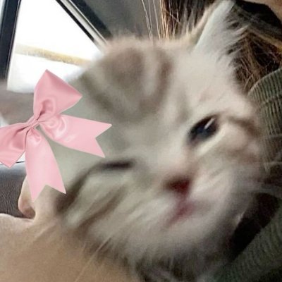 Janhvi_s_files's profile picture