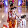 Vinay Upadahyay's profile picture