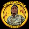 Forex Wahala 🏃🎭😂's profile picture