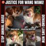 Фото профиля justiceforWangWangandherPuppies