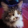 Profilbild von 🐾Me🐾