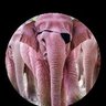 Profilbild von ∇1983∇69∇